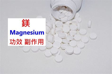 鎂 意思|MAGNESIUM中文(繁體)翻譯：劍橋詞典